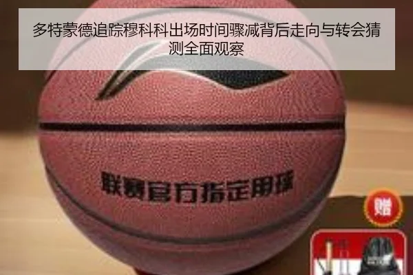 多特蒙德追踪穆科科出场时间骤减背后走向与转会猜测全面观察